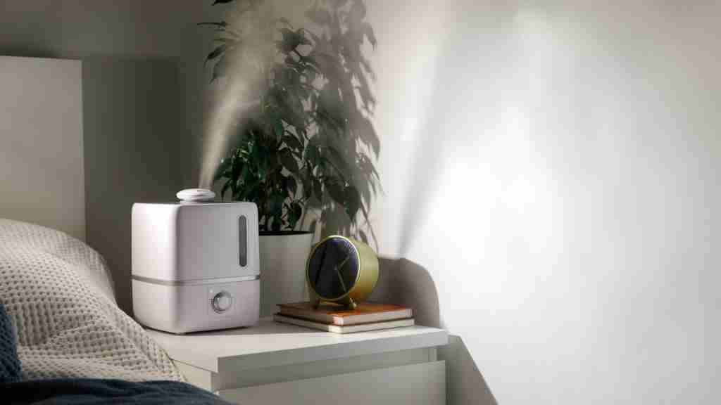 Best Humidifier For Plants