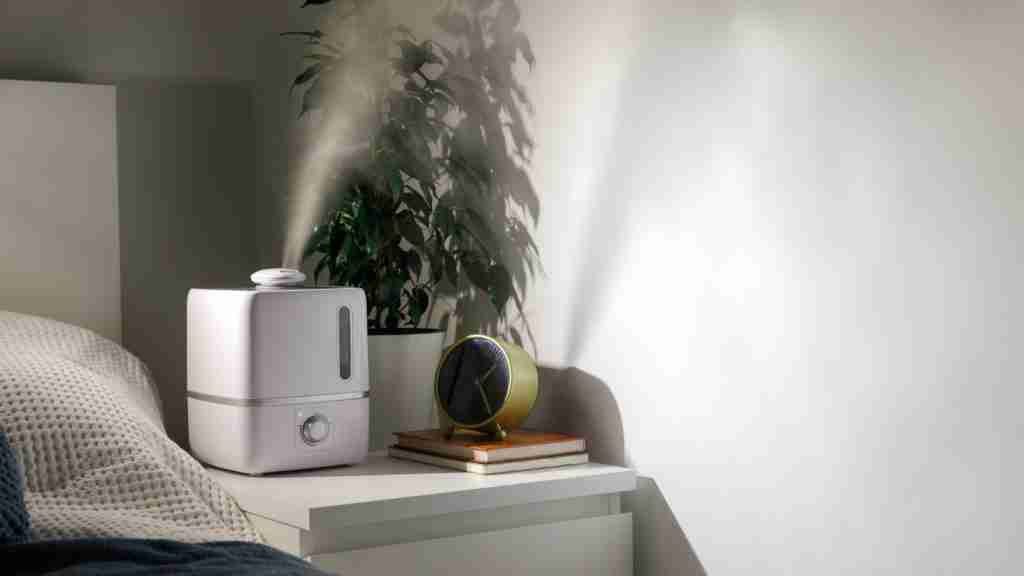 What Is The Best Humidifier For Plants? The Top 10 List. 4 Best Humidifier For Plants