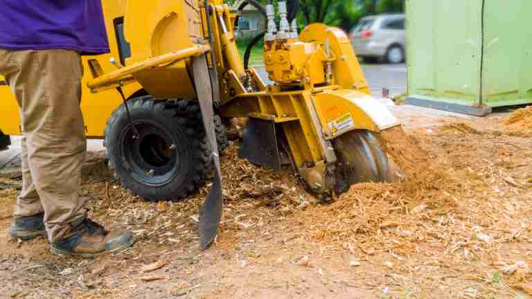 How Much Does It Cost For Tree Stump Removal?