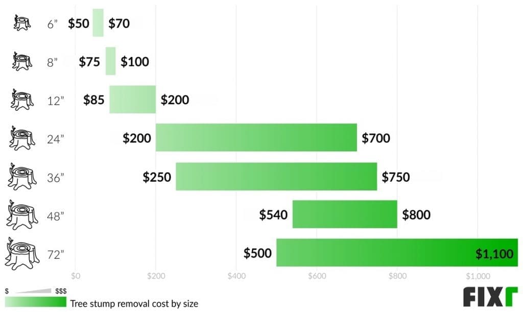 How Much Does It Cost For Tree Stump Removal? The 4 Variables Explained. 3 Image
